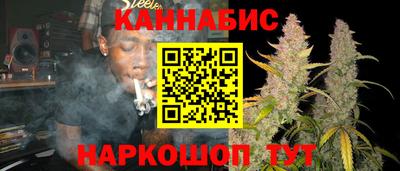амф Гай