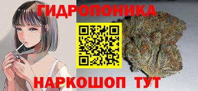 амф Гай
