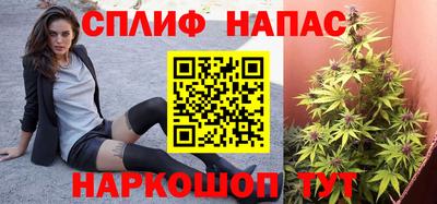 МДМА Гатчина