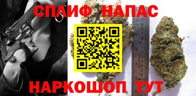 амф Гай