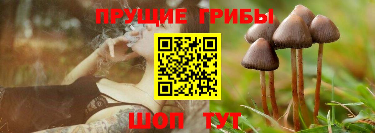 Псилоцибиновые грибы Psilocybine cubensis  сколько стоит  Мирный  Вход с VPN  Галлюциногенные грибы мицелий 